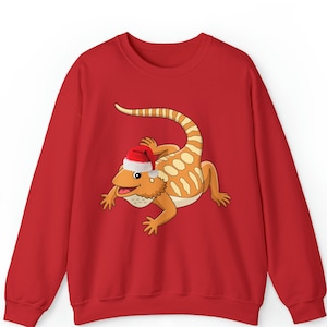 Baardagaam trui | Baardagaam cadeau | Baardagaam kersttrui | Baardagaam moeder | Grappige baardagaam Sweatshirt papa