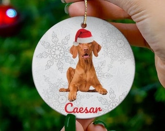 May include: A round Christmas ornament featuring a brown dog wearing a Santa hat, with the name "Caesar" in red. The ornament has a white background with a snowflake design and a gold string for hanging.