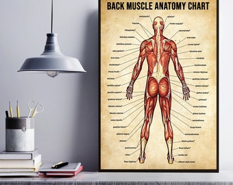EDUCATIONAL POSTERIOR MUSCLE POSTER SET Poster Print Art A0 A1 A2 A3 A4 1050 EDUCATIONAL POSTERIOR MUSCLE POSTER SET Poster Print Art A0 A1 A2 A3 A4 1050