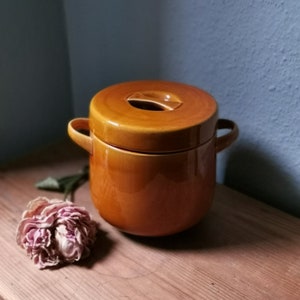 LONGCHAMP Marmite/Cocotte/Soupière France 1960 campagne chic, français majolica glazed ceramic, casserole dish with cover, rustic tureen