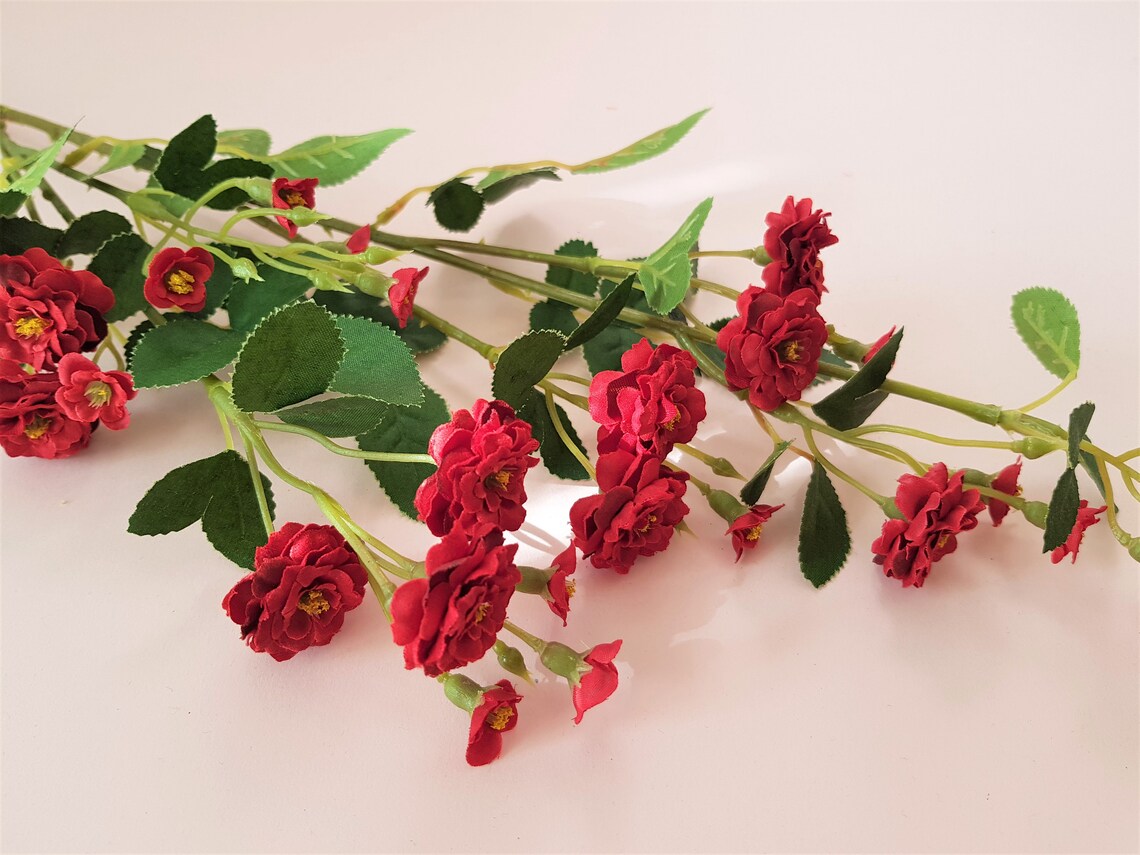 58+ Blumen Langer Stiel, Welche blumen blühen den ganzen sommer im