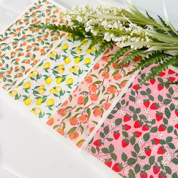 Fruit Clay Transfer Paper Set: Lemon, Peach, Strawberry, Orange, Polymer Clay, Art Supplies