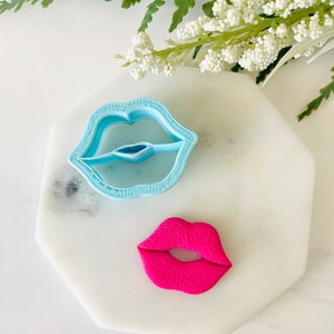 May include: A light blue plastic cookie cutter shaped like a pair of lips, and a pink fondant cutout of a pair of lips.