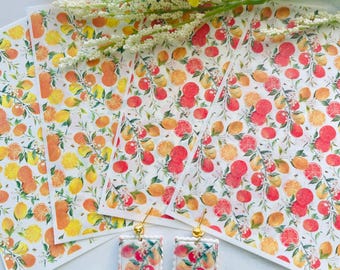 Fruit Clay Transfer Paper Set: Lemon, Orange, Grapefruit - Polymer Clay Supplies