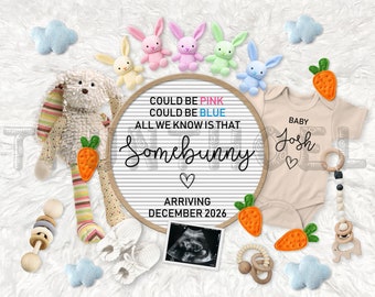 May include: A gender reveal announcement with a letter board that reads "Could be pink could be blue all we know is that Somebunny arriving December 2026". The letter board is surrounded by baby items, including a onesie that says "Baby Josh" and a stuffed bunny.