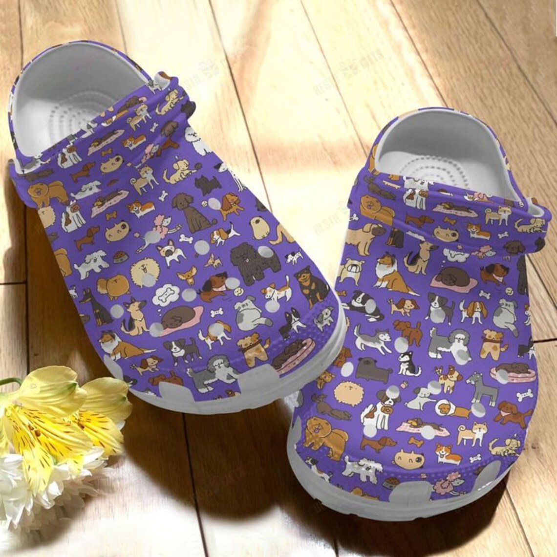 amazon dog crocs