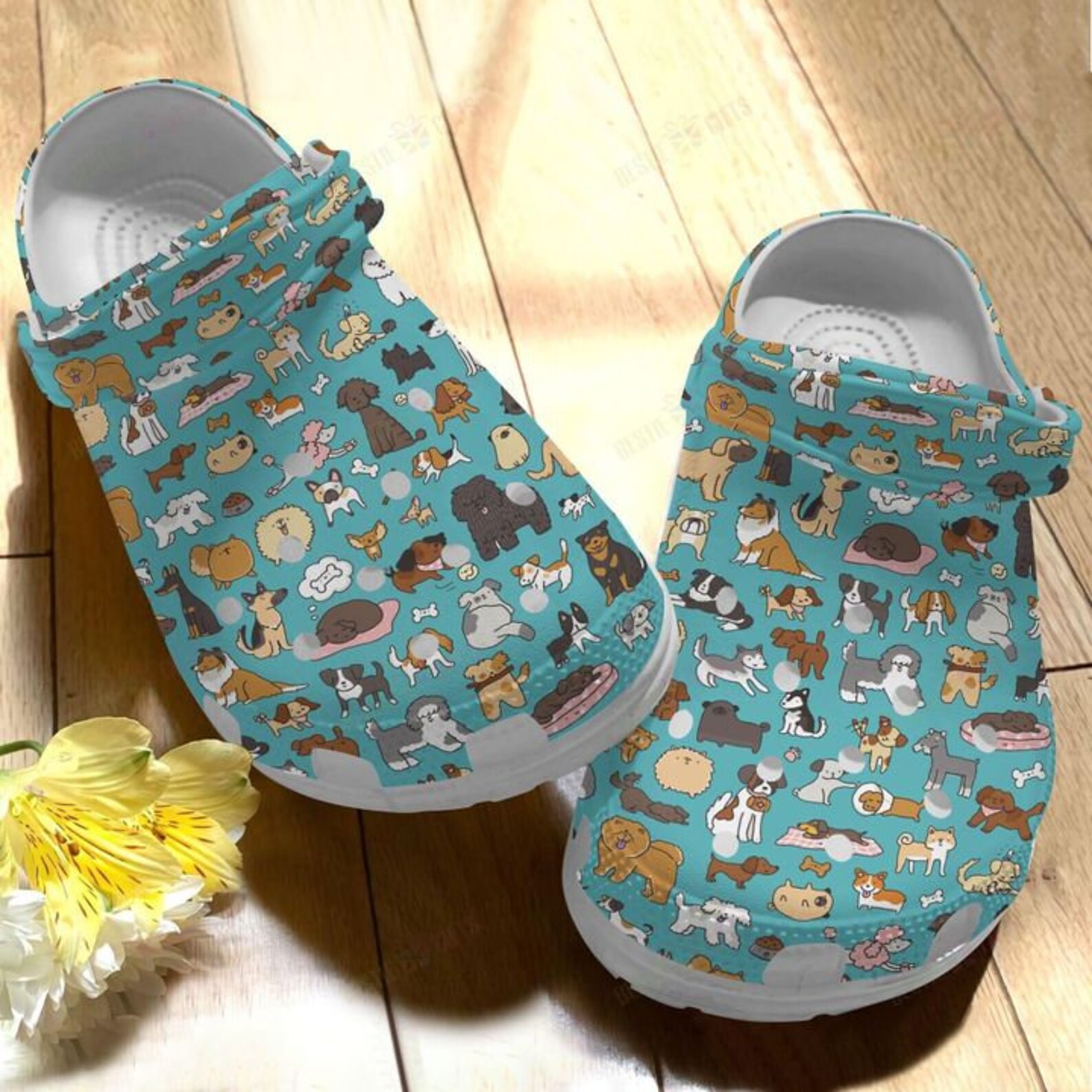 amazon dog crocs