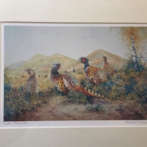 Malvern Pheasants. Signed special edition print. Former Royal Worcester Painter