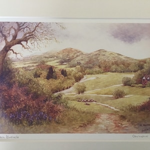 Malvern Bluebells . Signed Special Edition Artist’s Print