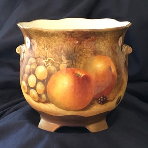 Worcester Fuit Planter.Handpainted and gilded  bone china . Former Royal Worcester painter
