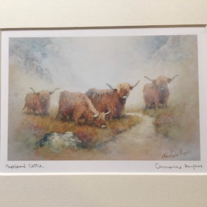 Highland Cattle. Ex Royal Worcester Artist Signed Special Edition Print