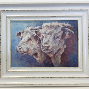 Hereford Cattle - Framed artists canvas print. Signed and titled personally by the artist.