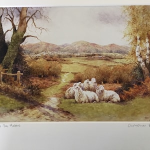 Malvern Hills Sheep  Signed Print