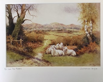 Malvern Hills Sheep  Signed Print