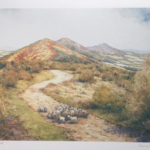 Malverns Hills Sheep Near WorcestershireBeacon. Signed print