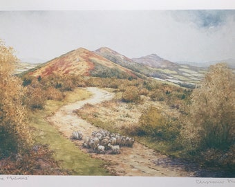 Malverns Hills Sheep Near WorcestershireBeacon. Signed print