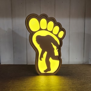 BigFOOT Light