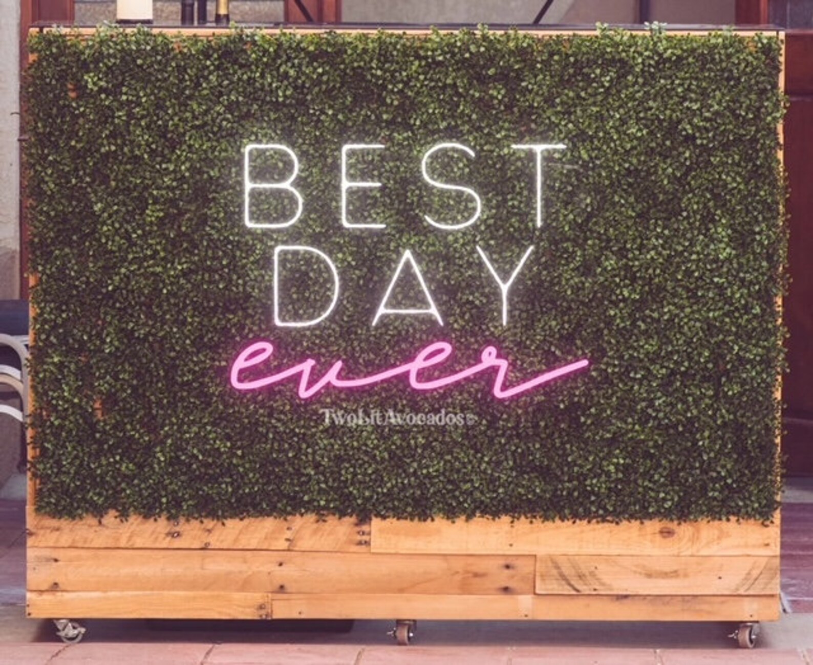 Best Day Ever Neon Sign Wedding Neon Sign Boho Wedding Sign Etsy