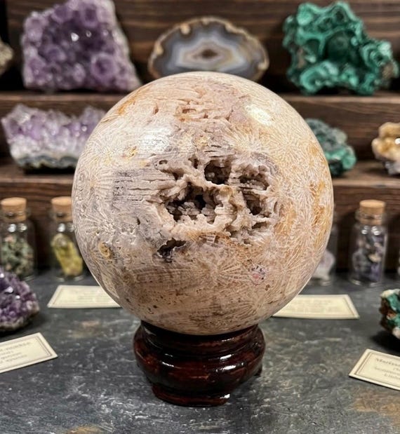 Agatized Fossil Coral Sphere, 70mm Druzy Geode Crystal Ball, Polished Statement Orb
