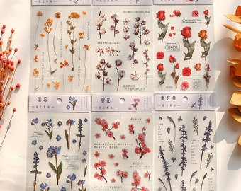 Botanical Deco Clear Sticker | Featuring 12 Unique Styles | Ideal for Scrapbooking, Card Embellishment.