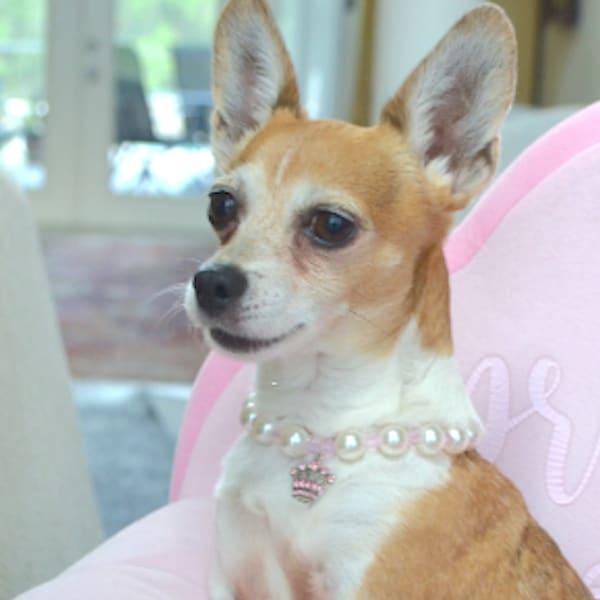 Pearl & Pink Crystal Dog Pearl Collar with a Princess Crown Charm, Pearl Necklace, Pet Jewelry, Dog ID Tag, Bridesmaid Pet Collar, Pet Gifts