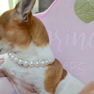 Pearl necklace dog clearance