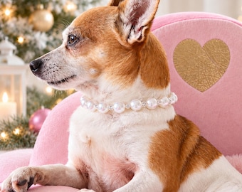 May include: A small brown and white dog wearing a white pearl collar sits on a pink velvet sofa featuring a gold heart emblem. A white gift box tied with a pink ribbon sits beside the dog on the soft pink fabric of the furniture.