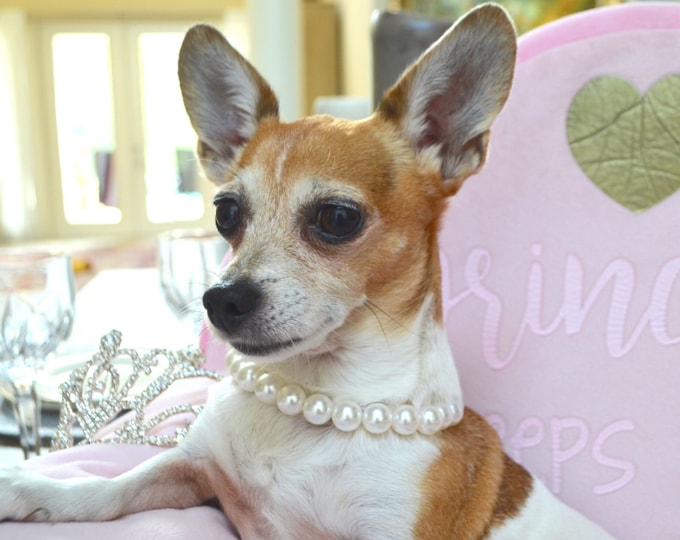 Dog Pearl Necklace Dog Pearl Collar Dog Jewelry Wedding Dog Etsy