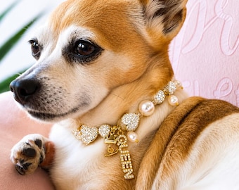 Colar personalizado com pérolas para cachorro, colar com nome do cachorro, coleira para cachorro, colar para cachorra princesa, joia para cachorra rainha, coleira com strass, presente para mãe de cachorro