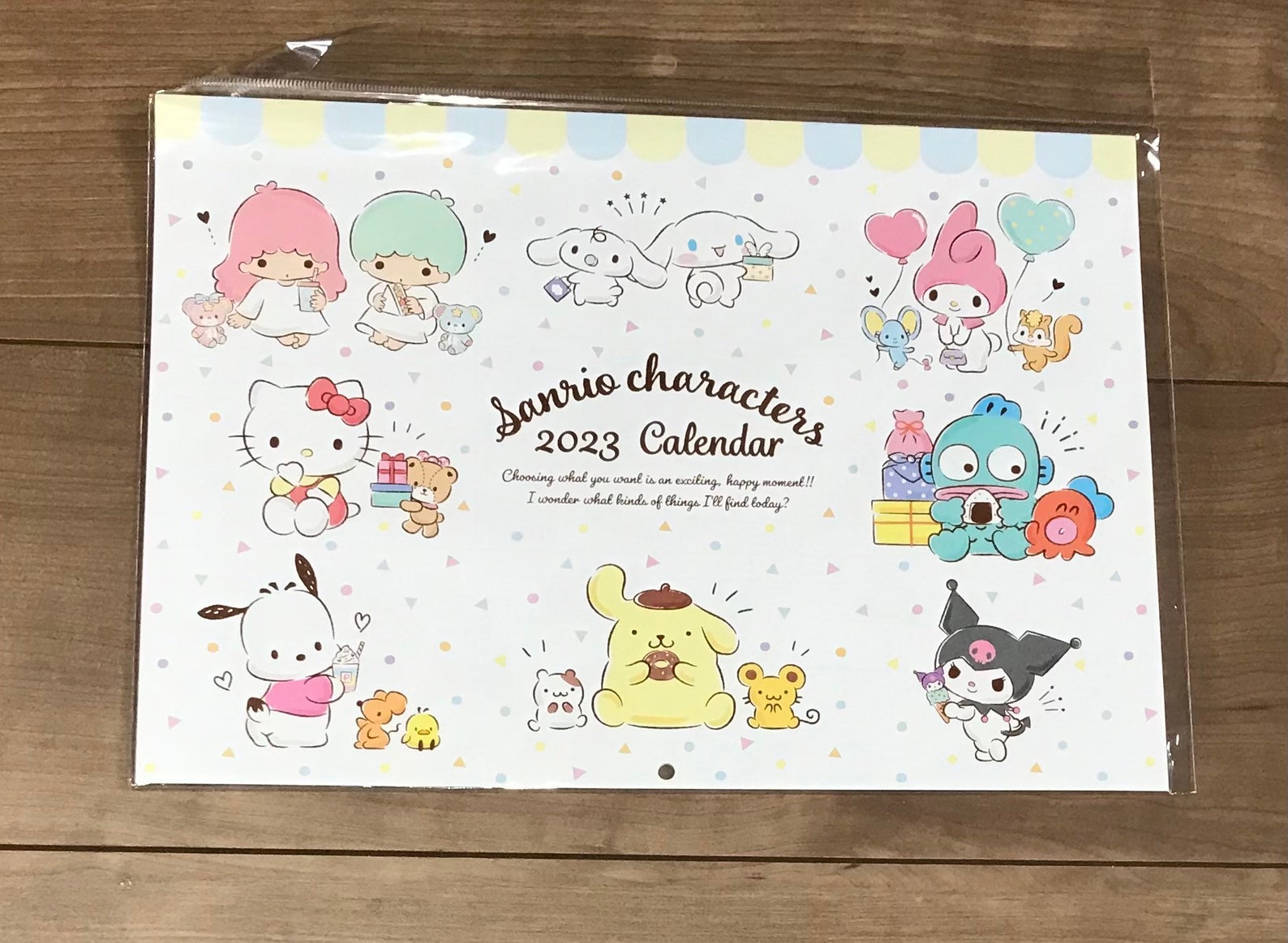 Sanrio 2023 Large Wall Hanging Calendar Hello Kitty Etsy