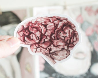 Op de afbeelding: Een sticker met een gedetailleerde anatomische illustratie van een menselijk brein in roze en bruine tinten.