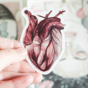 Realistic Watercolor Heart Sticker