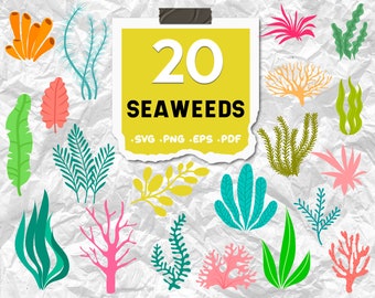 Seegras svg,Under the Sea, Seegras, Koralle, Bubbles SVG,Pflanzen svg,Sea life svg,Sea life svg,Sea life svg,Seegras Datei,Druckdatei,druckbar,svg Datei