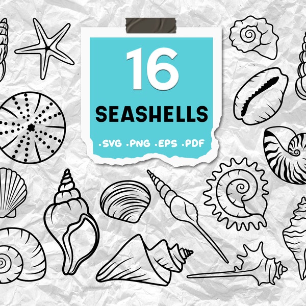 Seashell svg,shell svg,seashell clipart,clam svg,scallop svg,ocean svg, marine svg,Seashell Clipart,Seashell Design Svg,print file,printable