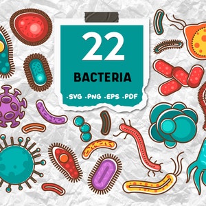 Bacteria svg,Bacteria Clipart Collection, Bacteria SVG Bundle, Bacteria png, Bacteria png, Bacteria print,Bacteria vector design,print file