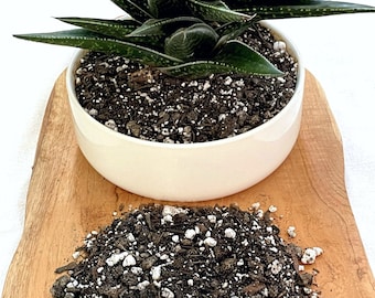 Succulent & Cactus Potting Soil Mix – Ideal Premium Indoor Plant Blend (Succulents, Cacti, Palm, Citrus, Snake Plants, Aloe, Bonsai, etc.)