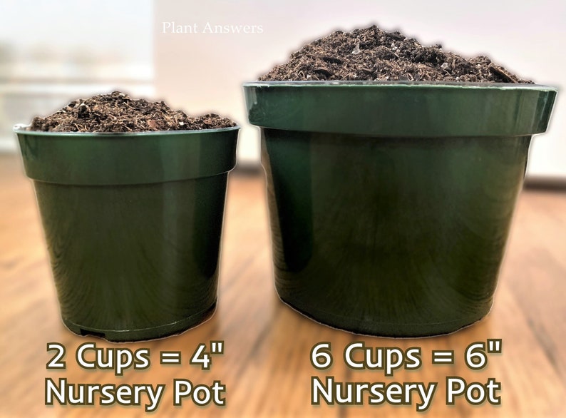 Anthurium Houseplant Potting Soil Mix Premium Blend for Etsy