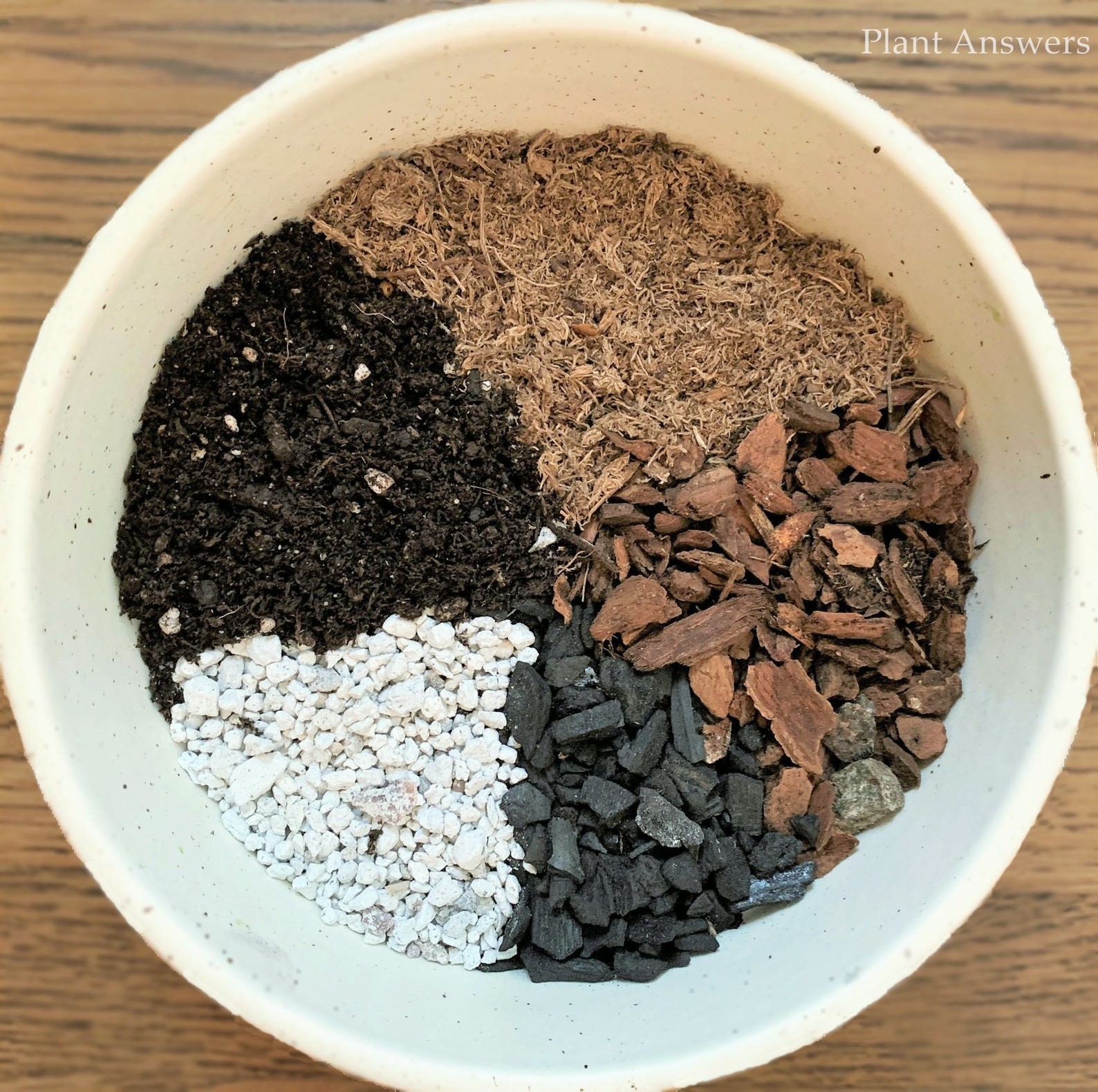 Succulent Plant Soil Mix