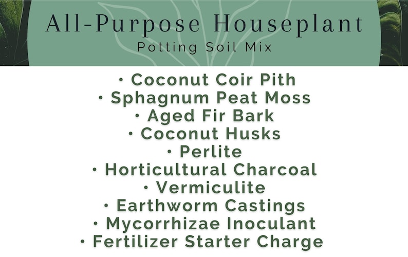 All-Purpose Houseplant Potting Soil Mix Premium Organic Blend For Foliage Plants Tropicals, Aroids, etc Mycorrhizal-Rich & pH Balanced image 3