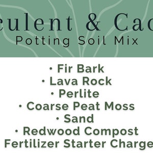 Succulent & Cactus Potting Soil Mix Ideal Premium Indoor Plant Blend Succulents, Cacti, Palm, Citrus, Snake Plants, Aloe, Bonsai, etc. image 3