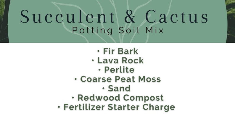 Succulent & Cactus Potting Soil Mix Ideal Premium Indoor Plant Blend Succulents, Cacti, Palm, Citrus, Snake Plants, Aloe, Bonsai, etc. image 3