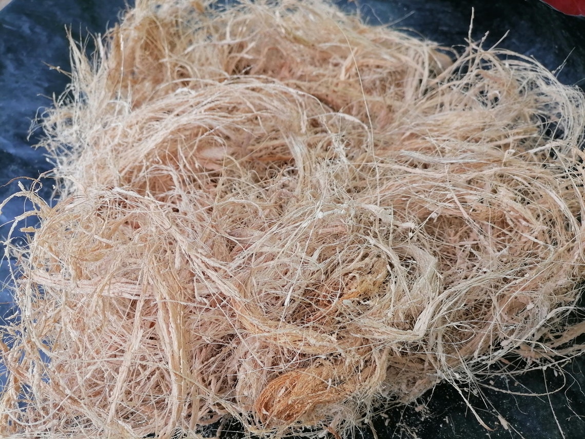 Coconut Husk fiber 100 Natural Soil less FREE SHIPPING Etsy