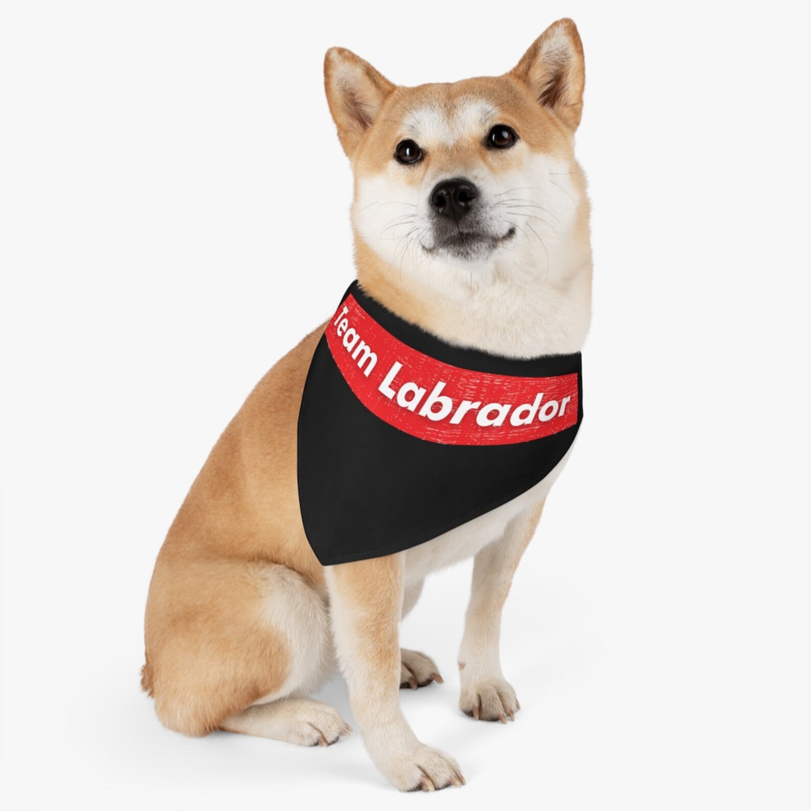 Team Labrador Labrador Bandana Labrador Mom Pet Bandana Etsy Italia