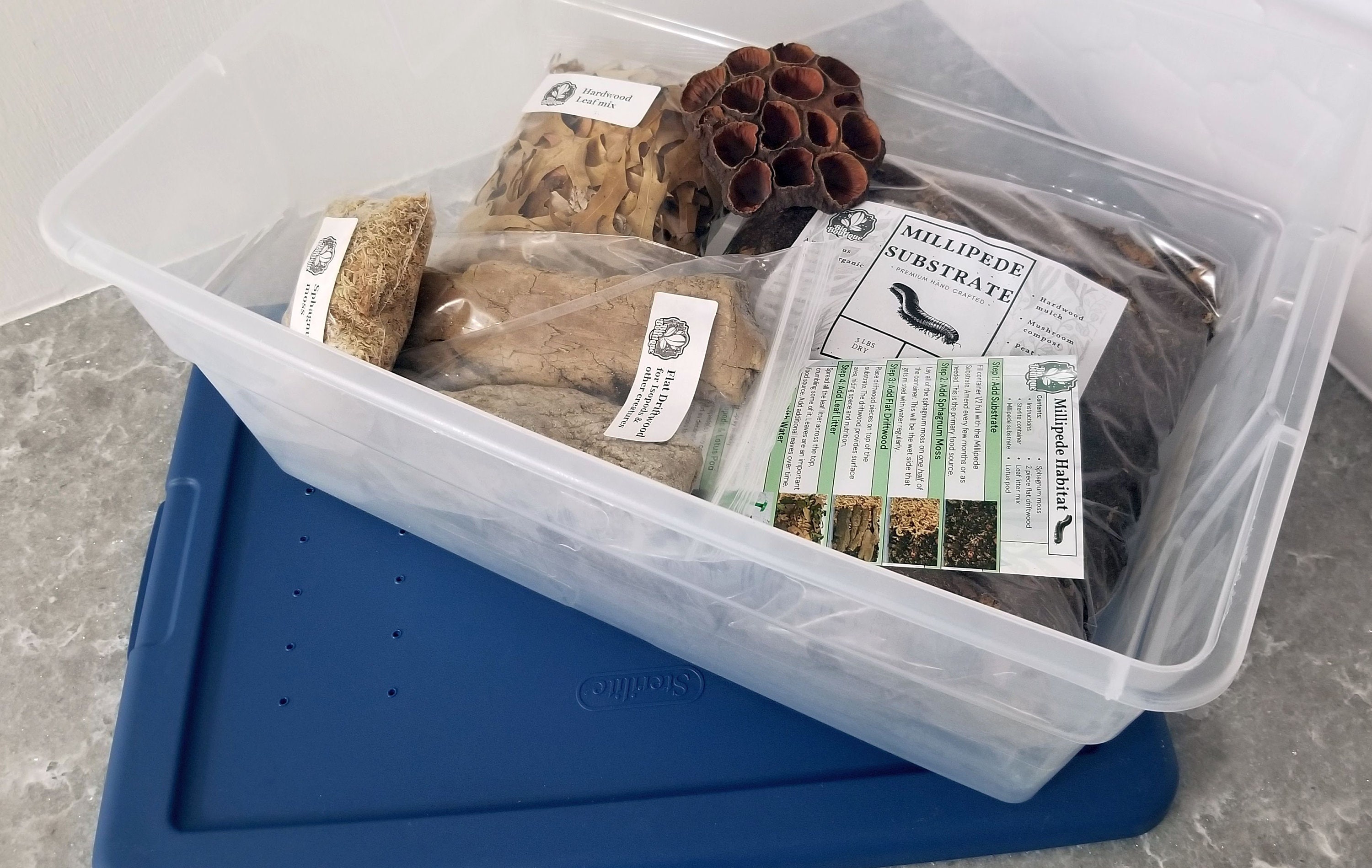 Millipede Habitat Kit All the Ingredients to House Etsy