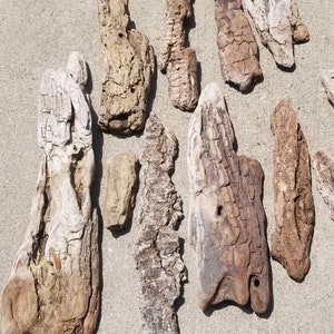 Flat Driftwood for Isopods, small flat pieces perfect for clean up crews to call home, Heat Treated and Ready to Use in Bioactive Terrariums