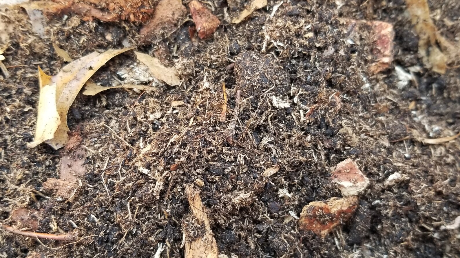 Tropical Reptile Soil for Herps and Plants That Love Humid Etsy