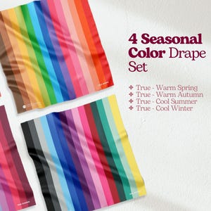 Ensemble de drapés pour l'analyse des 4 couleurs principales des saisons | Kit de drapage étiqueté Printemps, Été, Automne, Hiver | Accessoire, cadeau et outils pour la consultation personnelle
