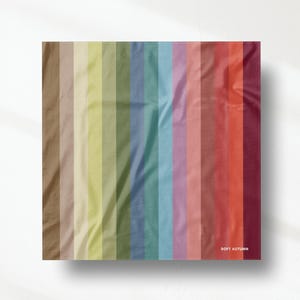 Puede incluir: Una muestra de tela cuadrada con una serie de rayas verticales en un degradado de colores que incluye marrón, beige, amarillo, verde oliva, azul, lavanda, rosa y rojo oscuro, con el texto SOFT AUTUMN impreso en blanco en la esquina inferior derecha.