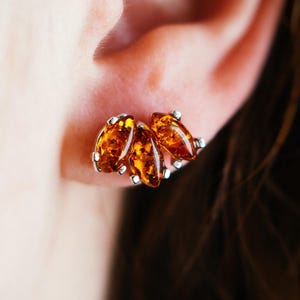 アンバースタッドピアス - マーキスバルト海産アンバークラスターデザイン - 925スターリングシルバー