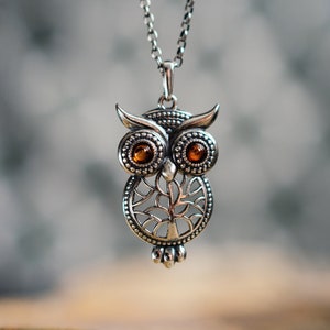 Extraordinary silver owl with amber eyes. Sweet owl made of 925 silver and Baltic amber. A silver pendant with a beautiful ornament.